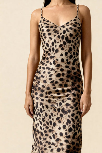 Panthera Gecelik